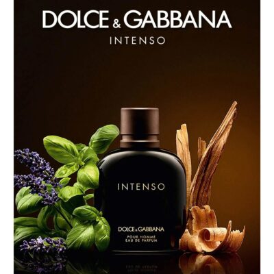 Nước hoa nam - D&G Pour Homme Intenso 247 1